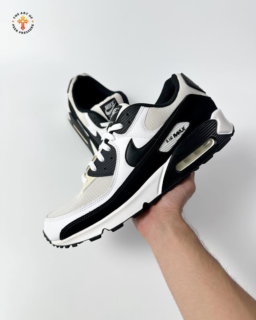 Air Max 90 Panda